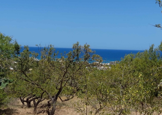 Terrainà  raf raf  de 2400 m².