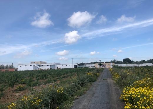 Ferme 10 hectares bir mcherga