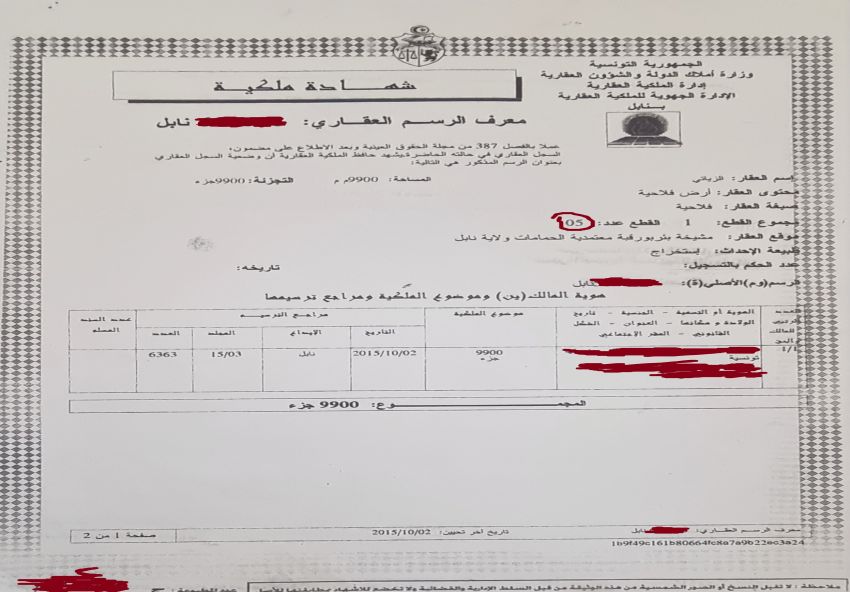 Terrain d’un hectare à Hammamet sud : Très bonne occasion pour investissement à court terme ou pour bâtir une maison.