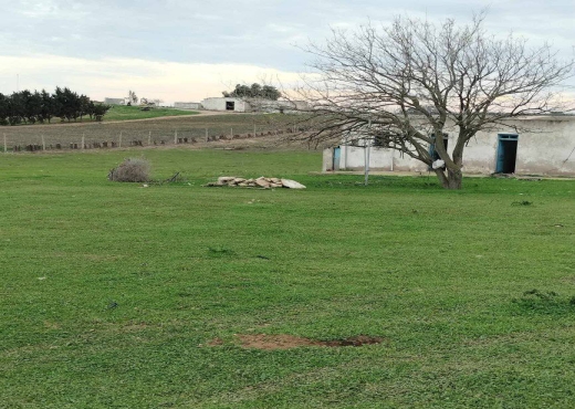 terrain agricole à vendre