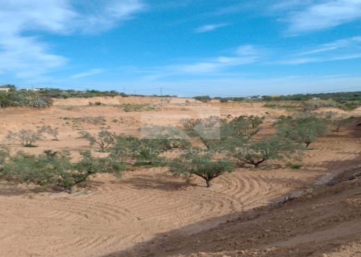 Vendre des terrains agricoles