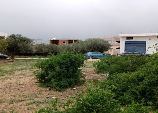 terrain À Vendre à ARIANA - terrain à sidi salah - chotrana 1 - Immobiliere.tn - Photo 5