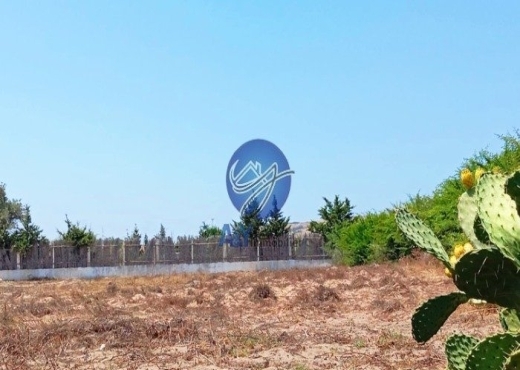 🌾 Terrain 4000 m² à Garia – Metline | Agricole