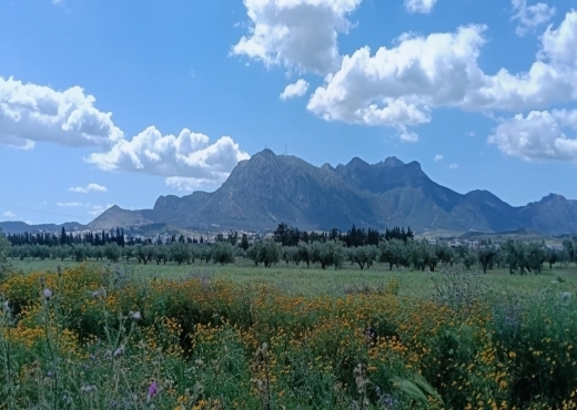 À VENDRE MAISON À ZAGHOUAN