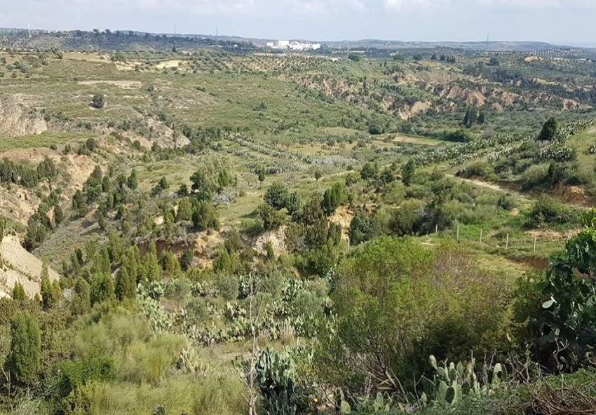 Vente Maison de campagne à Hwaria de Nabeul