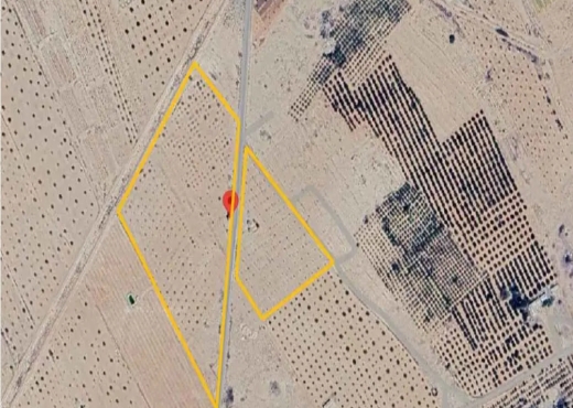 A Vendre Terrain Maknasy Sidi Bouz