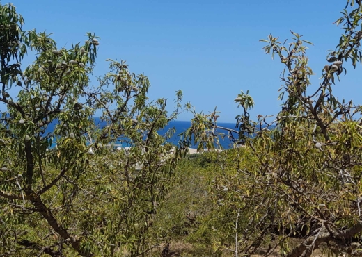 terrain À Vendre à BIZERTE - Terrain à  raf raf  de 2400 m² - Immobiliere.tn - Photo 3