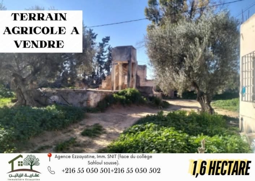 A Vendre Terrain Agricole