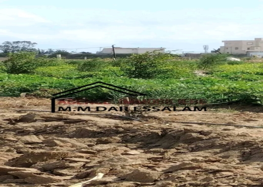 terrain contenant des arbres