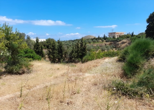 terrain À Vendre à BIZERTE - Terrain a raf raf  9300m² - Immobiliere.tn - Photo 3