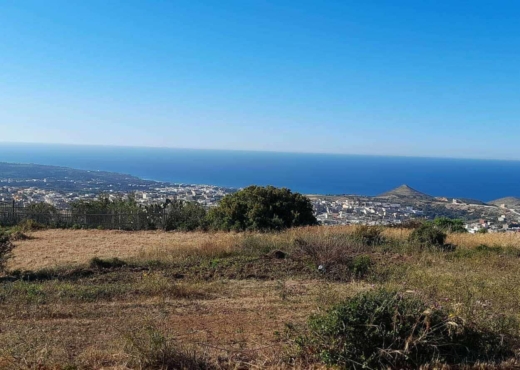 terrain À Vendre à BIZERTE - Terrain a raf raf  1 hectare - Immobiliere.tn - Photo 2