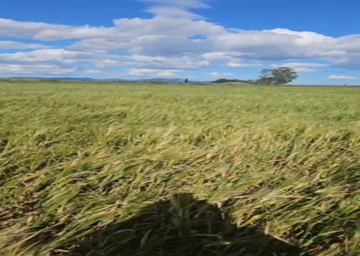 terrain agricole
