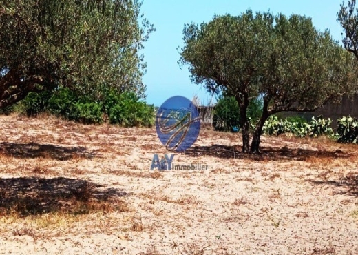 🌾 Terrain 4000 m² à Garia – Metline | Agricole