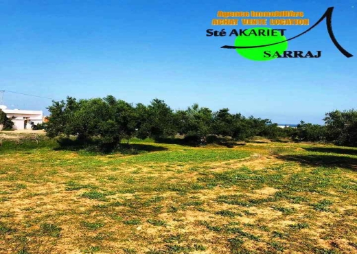 A Vendre Terrain a Chatt Mariem
