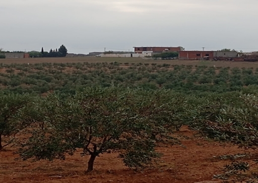 🚜 Terrain productif avec bâtiments