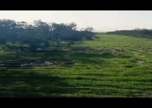 terrain À Vendre à ZAGHOUAN - TERRAIN AGRICOLE A VENDRE - Immobiliere.tn - Photo 2