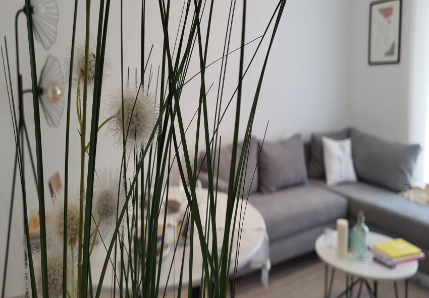 Coquet Appartement Meublé à Vendre