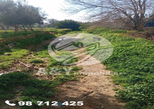 terrain À Vendre à BIZERTE - 🌿🌳 Terrain agricole à vendre – Gharel Melh 🌳🌿 - Immobiliere.tn - Photo 7