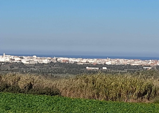 Terrainà  raf raf  de 2400 m².