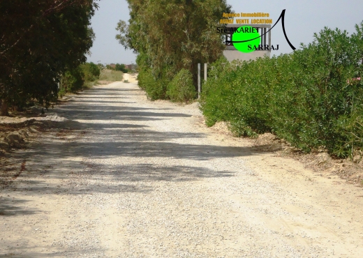 A Vendre Terrain a Hergla Sousse