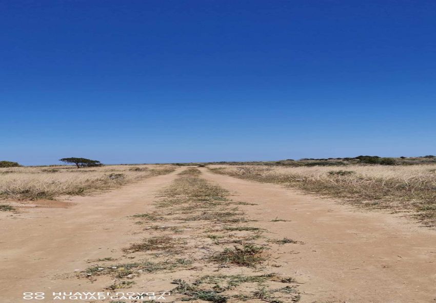 terrain À Vendre à SOUSSE - Terrain à vendre - Immobiliere.tn - Photo 3