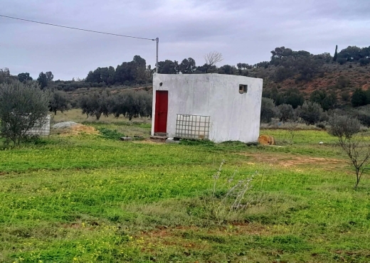 Terrain agricole à vendre