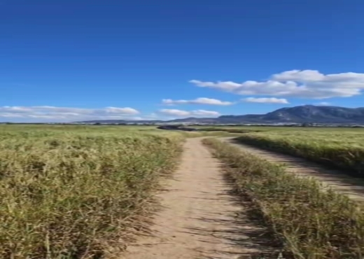 terrain agricole