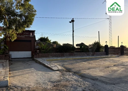ferme À Vendre à SOUSSE - Opportunité d’investissement à vendre - Immobiliere.tn - Photo 12