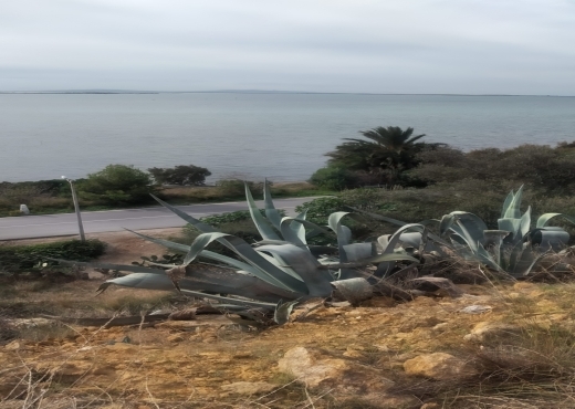 Terrain de 175 m² à Ghar El Melh ! E