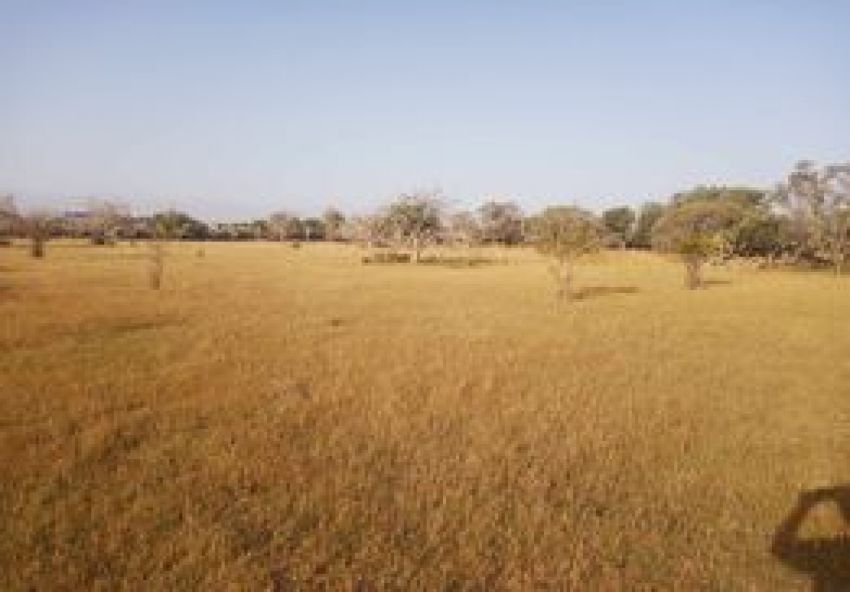 terrain À Vendre à MAHDIA - terrain agricole - Immobiliere.tn - Photo 5