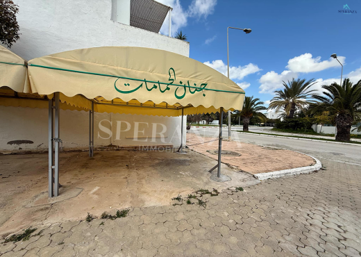 Location Appartement Fleuri S+2