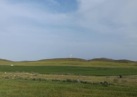 terrain