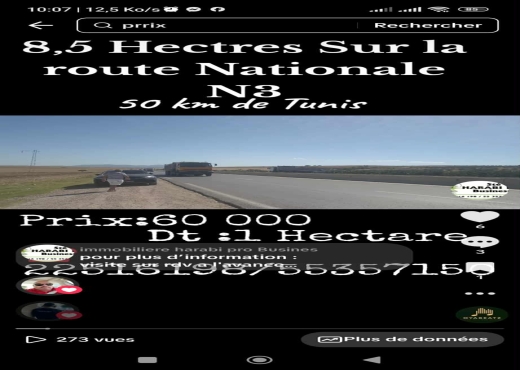 8.5 hectares Idéal pour agricole e