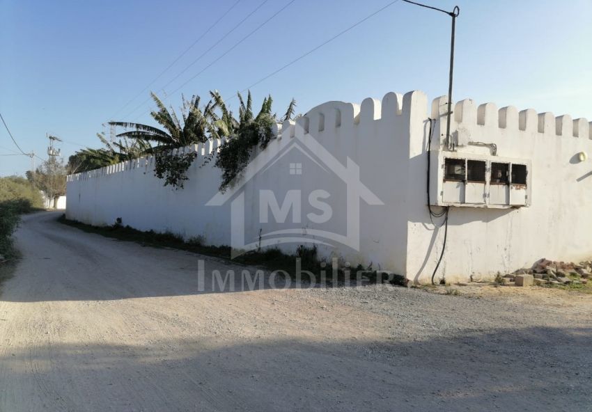 Terrain de 1000 m² à vendre à Hammamet 51355351