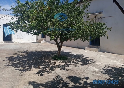 Maison spacieuse avec grand terrain 🌳🍋