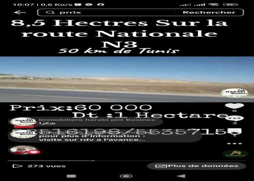 8.5 hectares Idéal pour agricole e