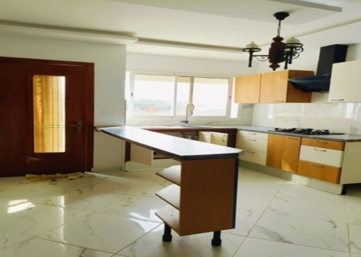 A vendre une maison de style américain s+3