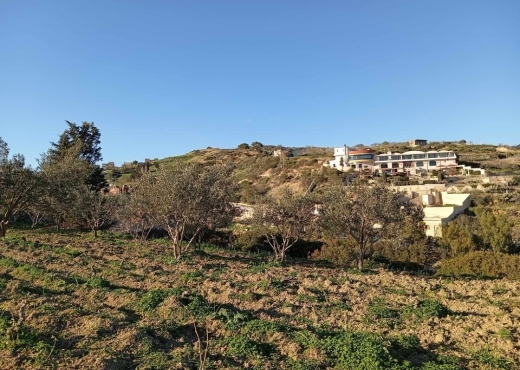 🌊 Terrain 4000 m² vue mer à Rafraf