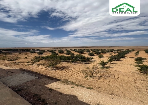 Seniya de 4 hectare et 5000 m² à vendre