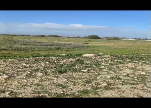 terrain À Vendre à ZAGHOUAN - TERRAIN AGRICOLE NU A VENDRE - Immobiliere.tn