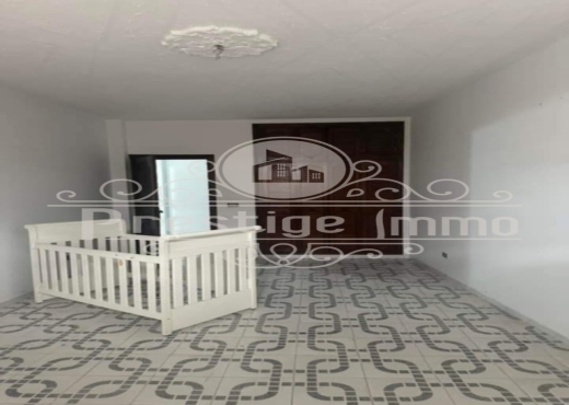 spacieux appartement