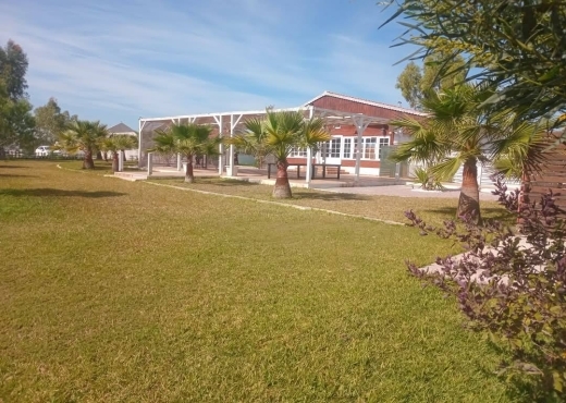 A vendre des lots de terrain à utique