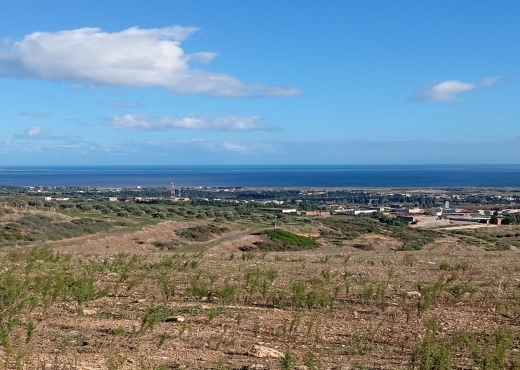 À vendre – Immeuble à Bab Aliwa🏢