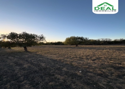 terrain À Vendre à SOUSSE - للبيع : أرض فلاحية - Immobiliere.tn - Photo 4