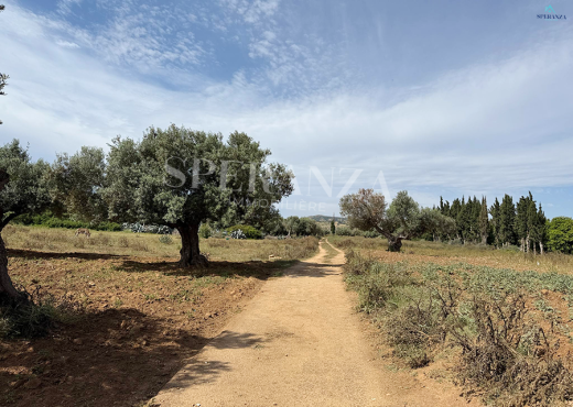 Vente Terrain Horizon