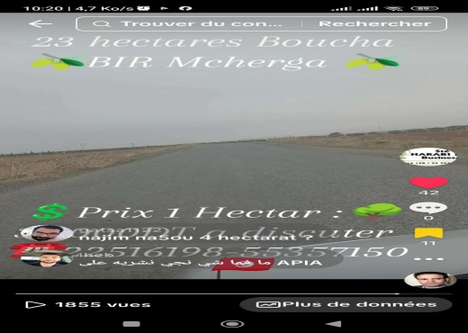 23 hectares excellentes sol fertil