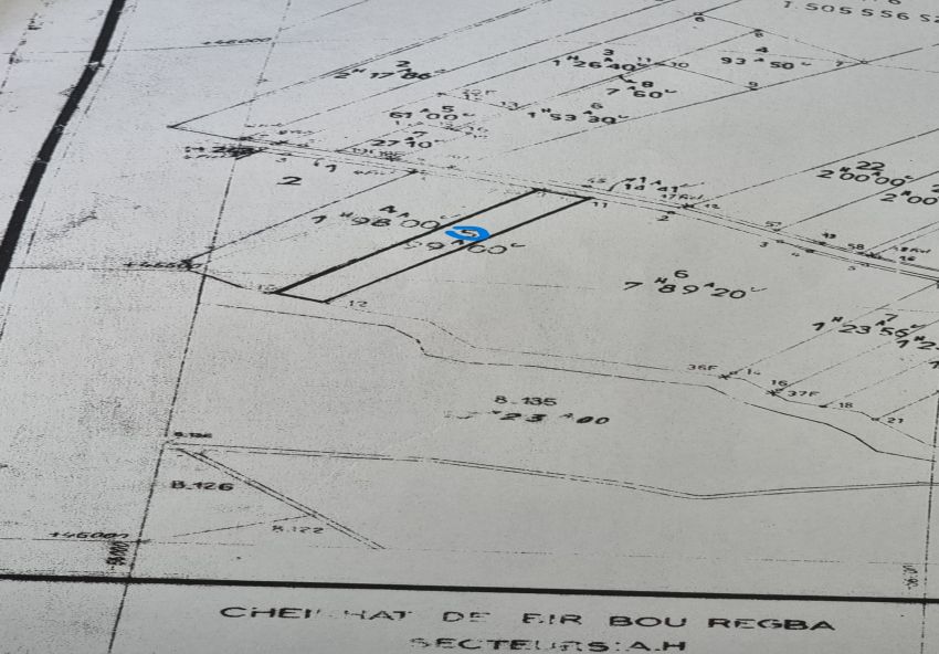 Terrain d’un hectare à Hammamet sud : Très bonne occasion pour investissement à court terme ou pour bâtir une maison.