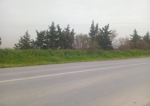 للبيع قطع أرض في سيدي ثابت-شرفش