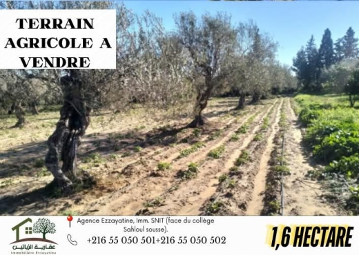 A Vendre Terrain Agricole