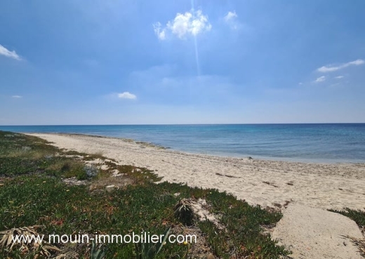 MAISON ROSETTE El Maamoura AV1533